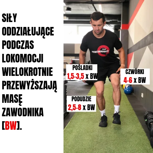 zajęcia z motoryki w Warszawie