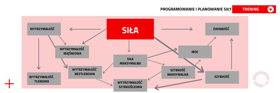 Plan treningu siłowego