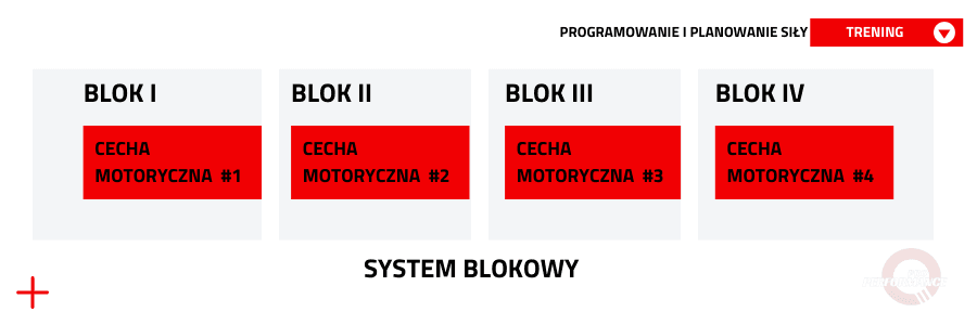 Plan treningu siłowego